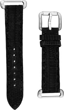 Fendi Selleria Watch Band Model TSN18R01S