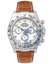 Rolex Daytona Men's Watch Model 116519WBR