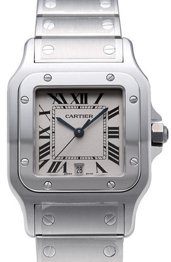 Cartier Santos Men's Watch Model W20060D6