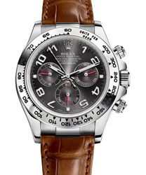 Rolex Daytona Men's Watch Model 116519-WHGLD